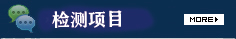 检测项目